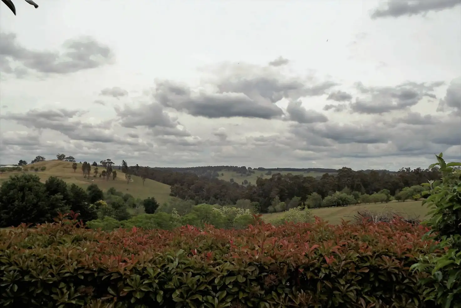 Main view of Homely house listing, 10 Robinia Way, Bridgetown WA 6255