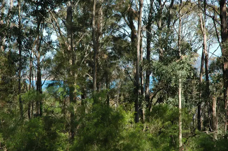 Fifth view of Homely land listing, 208 Princes Highway, Eden NSW 2551
