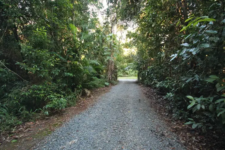 Fourth view of Homely land listing, 116 Hickory Road, Cow Bay, Daintree QLD 4873