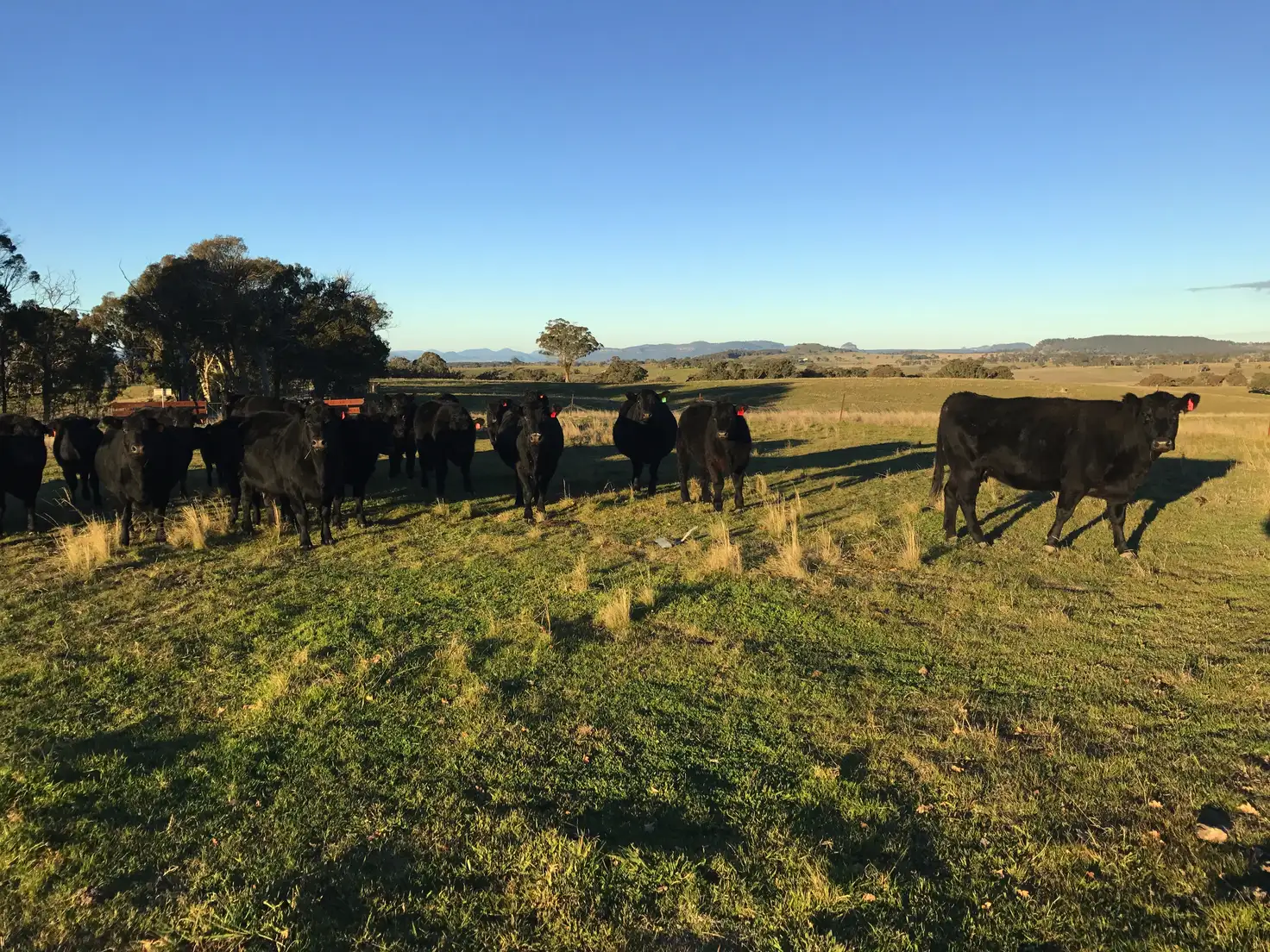 Main view of Homely rural property listing, 2162 Aarons Pass Rd, Aarons Pass NSW 2850