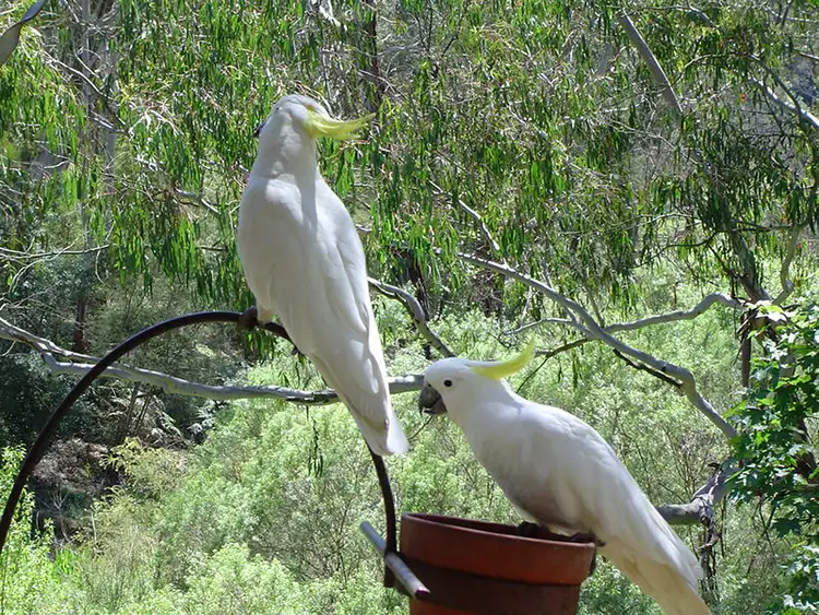 Fourth view of Homely house listing, 46 Valias Street, North Warrandyte VIC 3113