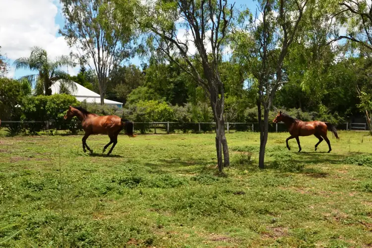 Seventh view of Homely rural property listing, 55 Richmont Dr, Bouldercombe QLD 4702