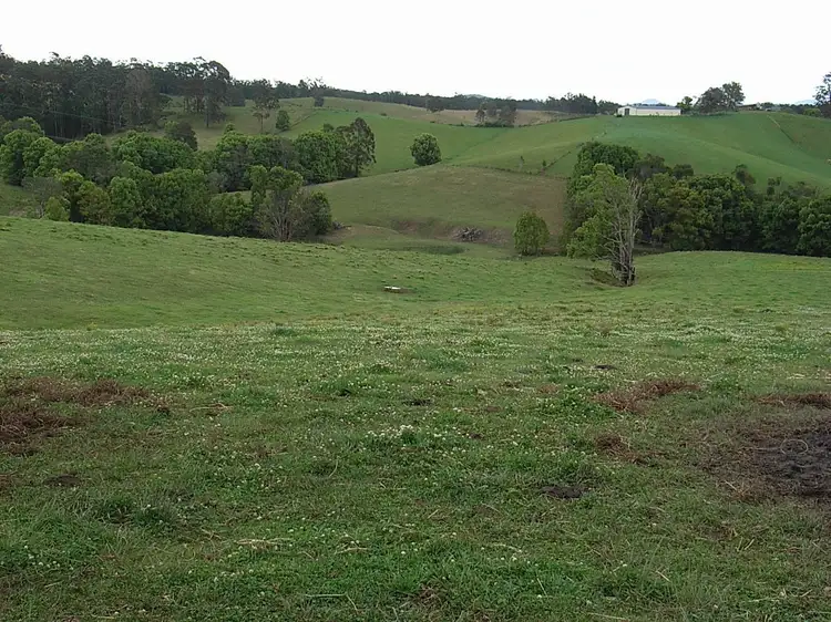 Fourth view of Homely rural property listing, 586 CONGARINNI Road South, Congarinni NSW 2447