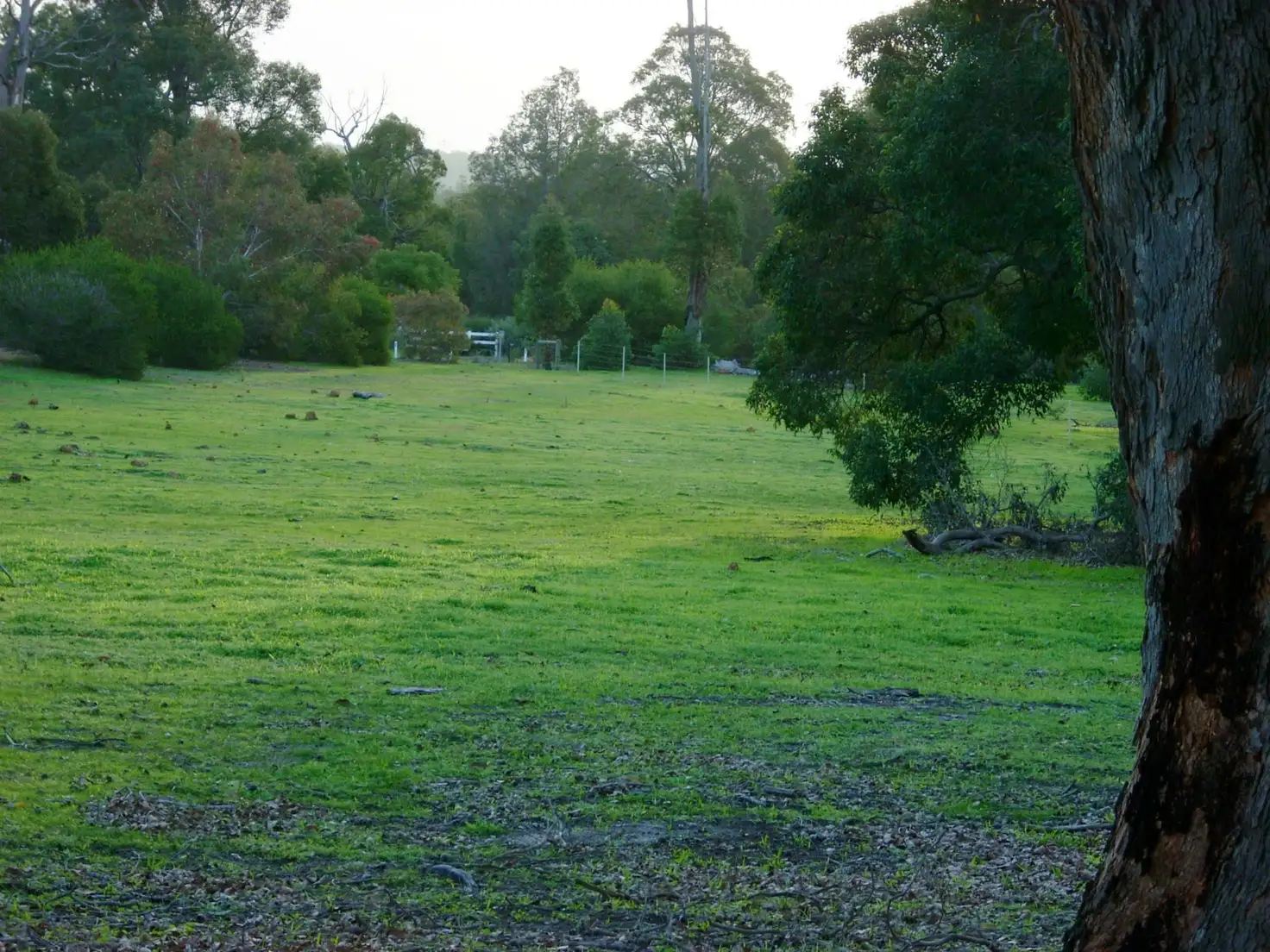 Main view of Homely land listing, 812 Perseverance Boulevard, Argyle WA 6239