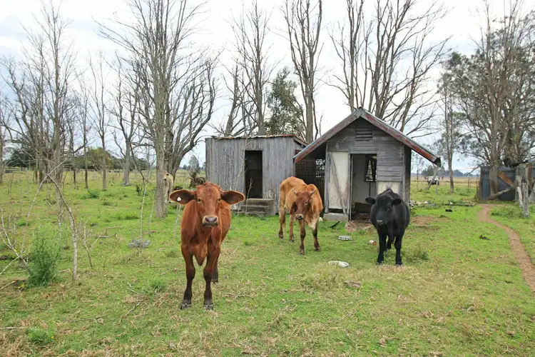 Second view of Homely house listing, 553 Coldstream Road, Ulmarra NSW 2462