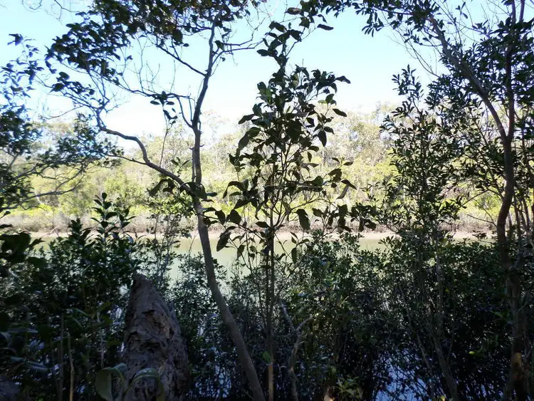 Sixth view of Homely land listing, 1596 Buxton Road, Buxton QLD 4660