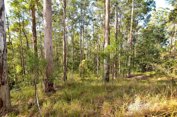 Main view of Homely land listing, 62 Rambert Road, Eudlo QLD 4554