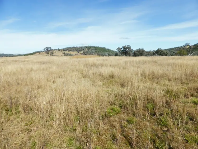 Fifth view of Homely rural property listing, Address available on request