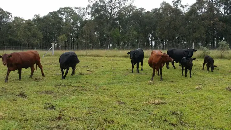 Seventh view of Homely rural property listing, L12 Ravenscroft Road, Warwick QLD 4370