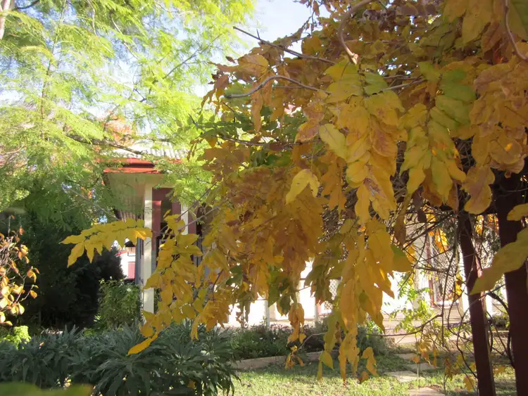 Second view of Homely house listing, 69 Liverpool Street, Scone NSW 2337