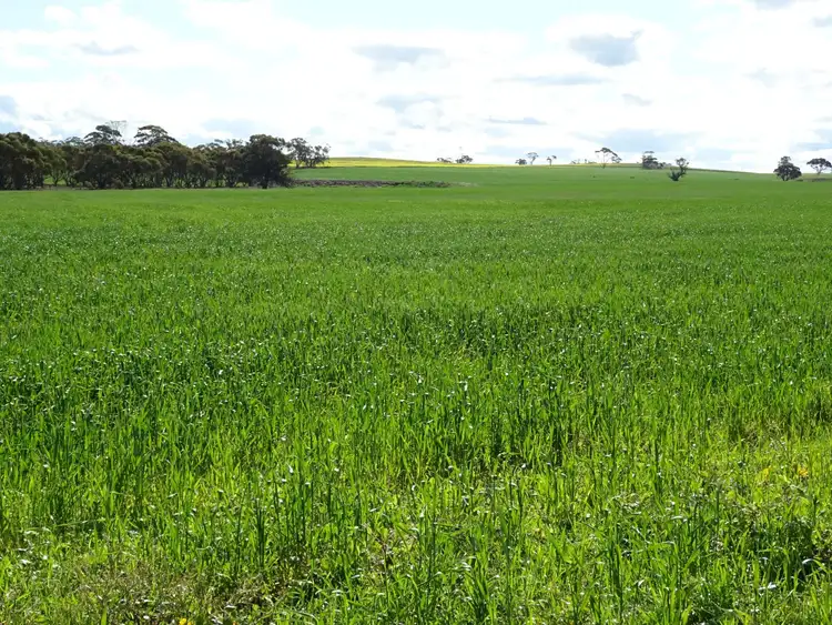 Second view of Homely land listing, L1 Rossmore Road, Goomalling WA 6460