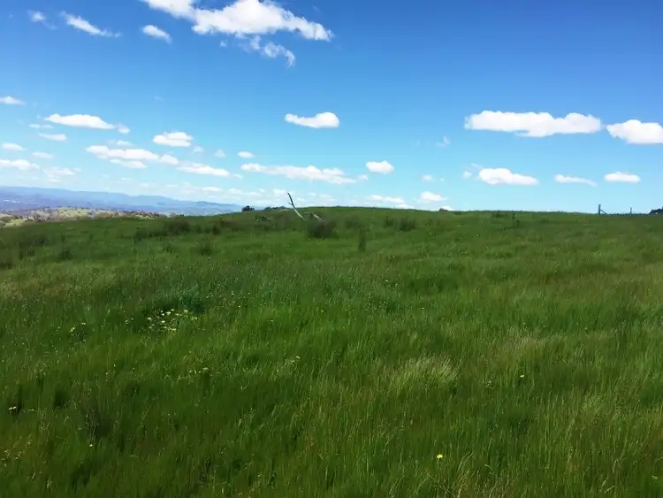 Second view of Homely rural property listing, . Spring Gully Road, Wodonga VIC 3690