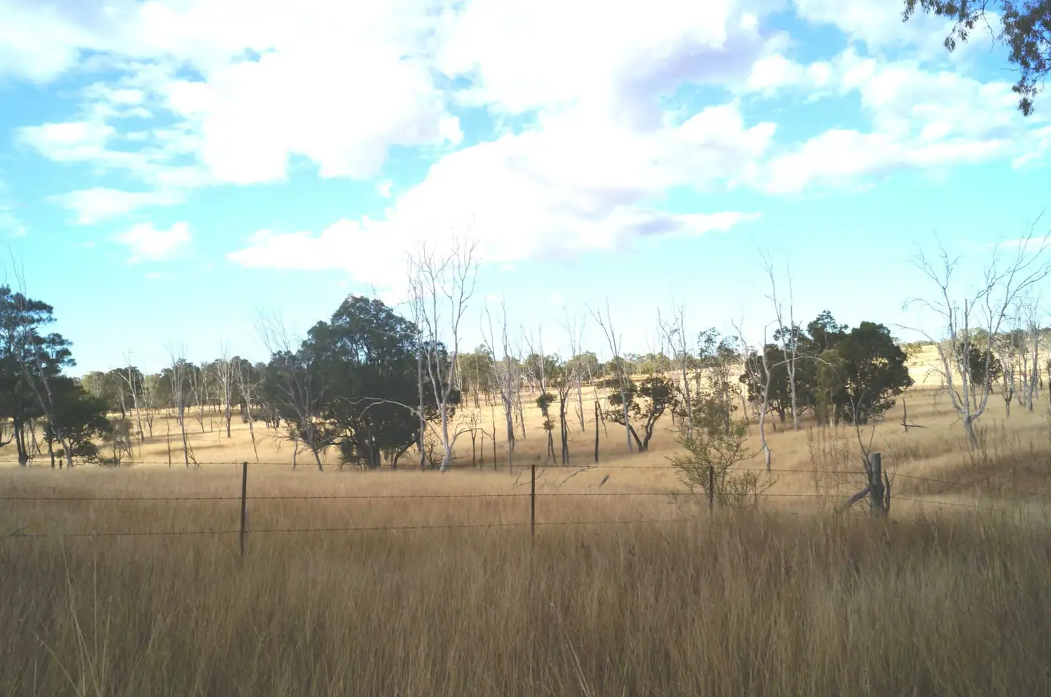 Main view of Homely rural property listing, L2 Plentiful Creek Road, Milman QLD 4702