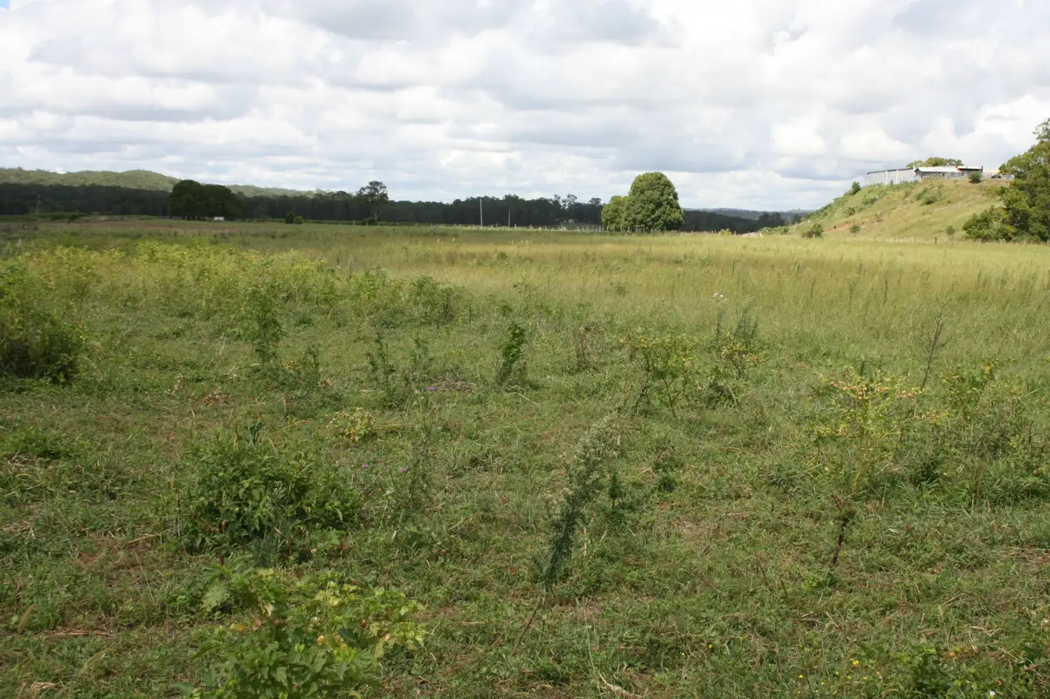 Main view of Homely rural property listing, Address available on request