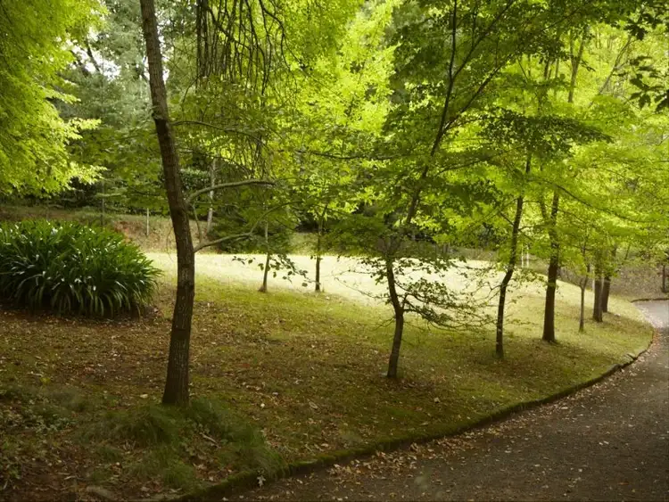 Fifth view of Homely house listing, 790 Mount Macedon Road, Mount Macedon VIC 3441