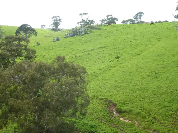 Sixth view of Homely rural property listing, Lot 51 Forktree Road, Carrickalinga SA 5204