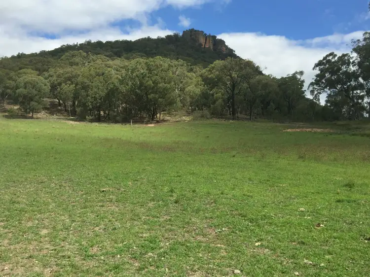 Main view of Homely rural property listing, Lot 14 Dunville Loop Road, Rylstone NSW 2849