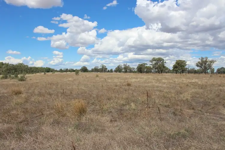 Fourth view of Homely rural property listing, . Moodemere Road, Norong VIC 3682