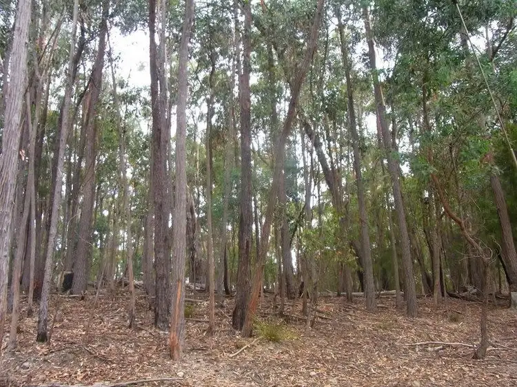 Third view of Homely rural property listing, 1655 Nethercote Road, Greigs Flat NSW 2549