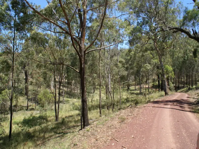 Main view of Homely rural property listing, 175 Box Gap Road, Putty NSW 2330
