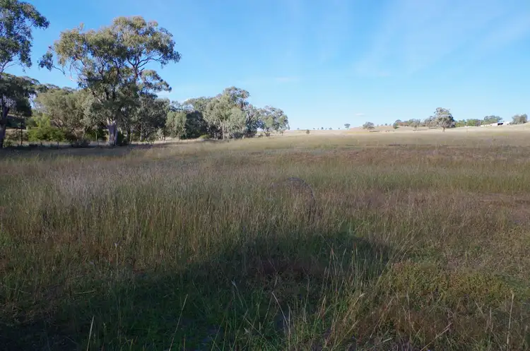 Seventh view of Homely house listing, 23 Carter Lane, Quirindi NSW 2343