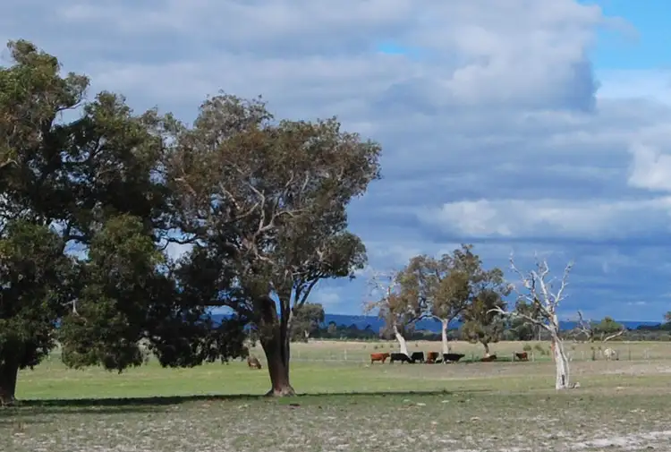 Second view of Homely rural property listing, 318 Old West Road, Bullsbrook WA 6084