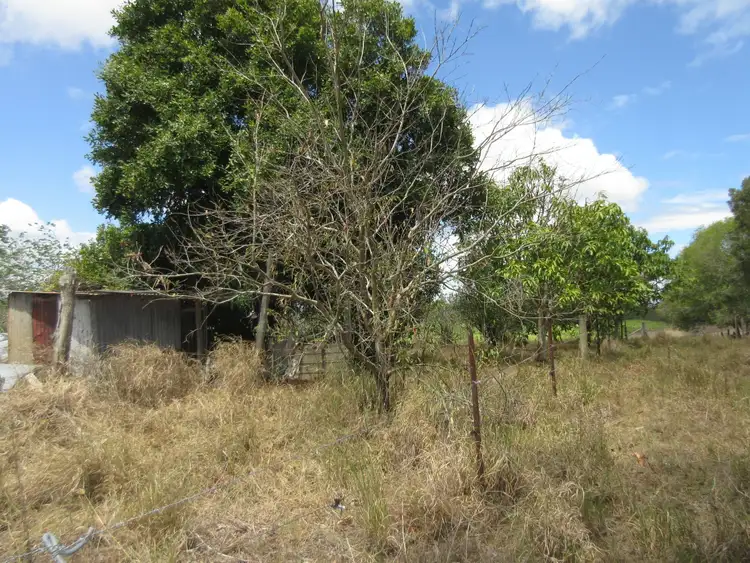 Sixth view of Homely rural property listing, 300 Walkers Point Road, Walkers Point QLD 4650