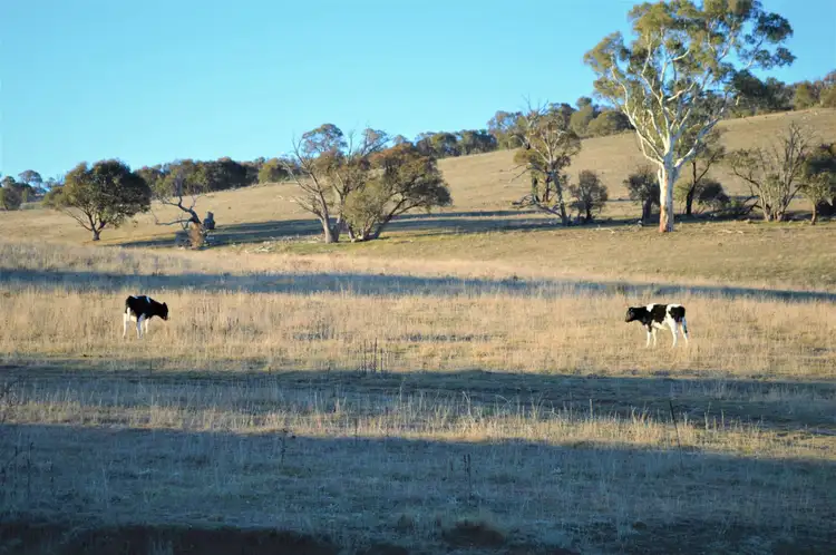 Third view of Homely land listing, 3282 Kosciuszko Road, Berridale NSW 2628