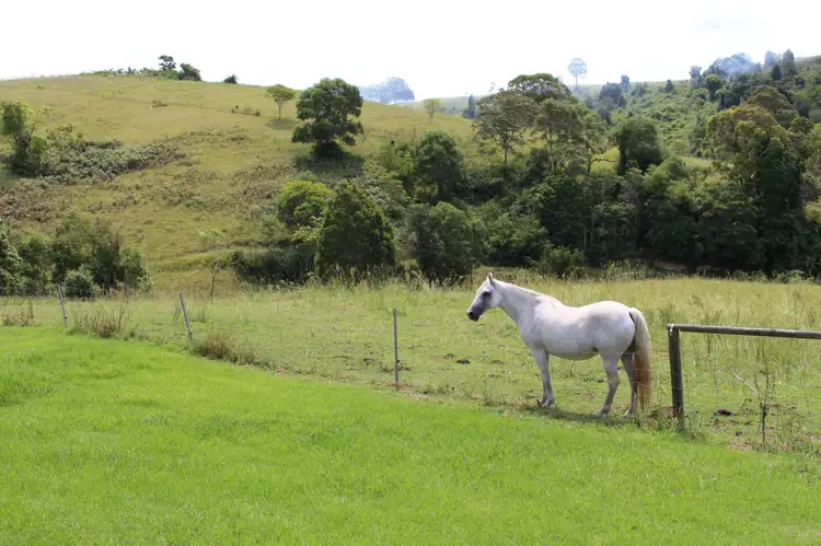 Fourth view of Homely rural property listing, Address available on request