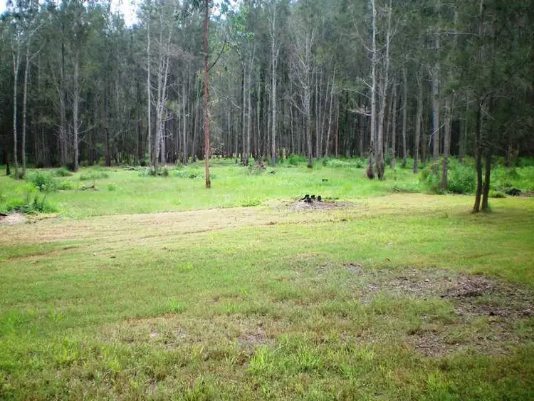 Second view of Homely land listing, 249 Webbs Creek Road, Webbs Creek NSW 2775