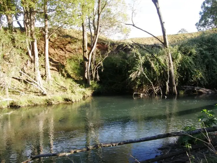 Third view of Homely rural property listing, 8 BRINDLE CREEK ROAD, Kyogle NSW 2474