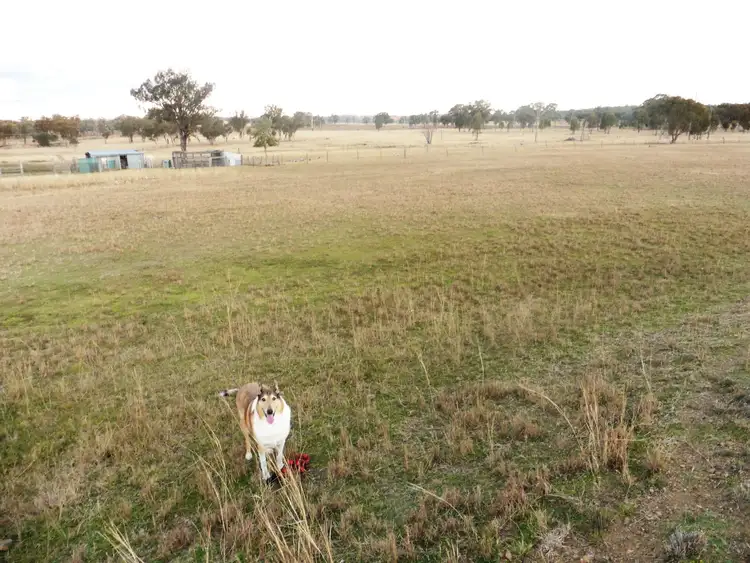 Second view of Homely rural property listing, Address available on request