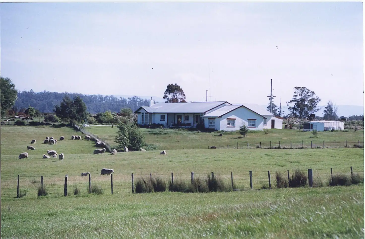 Main view of Homely rural property listing, 114 Kelly's Rd, Reedy Marsh TAS 7304