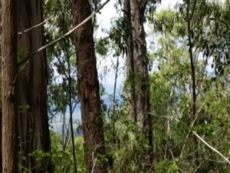 Sixth view of Homely rural property listing, Lot 4 Leslie Creek Road, Drake NSW 2469