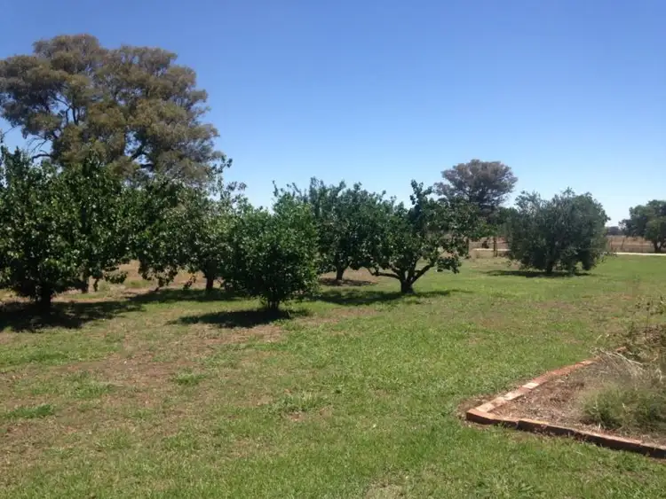Sixth view of Homely rural property listing, 2/3756 Murray Valley Highway, Rutherglen VIC 3685