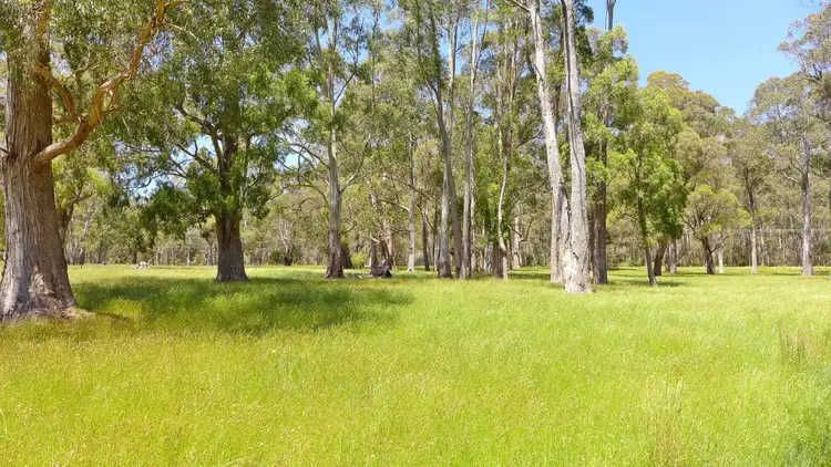 Sixth view of Homely rural property listing, 916 Claude Road, Sheffield TAS 7306