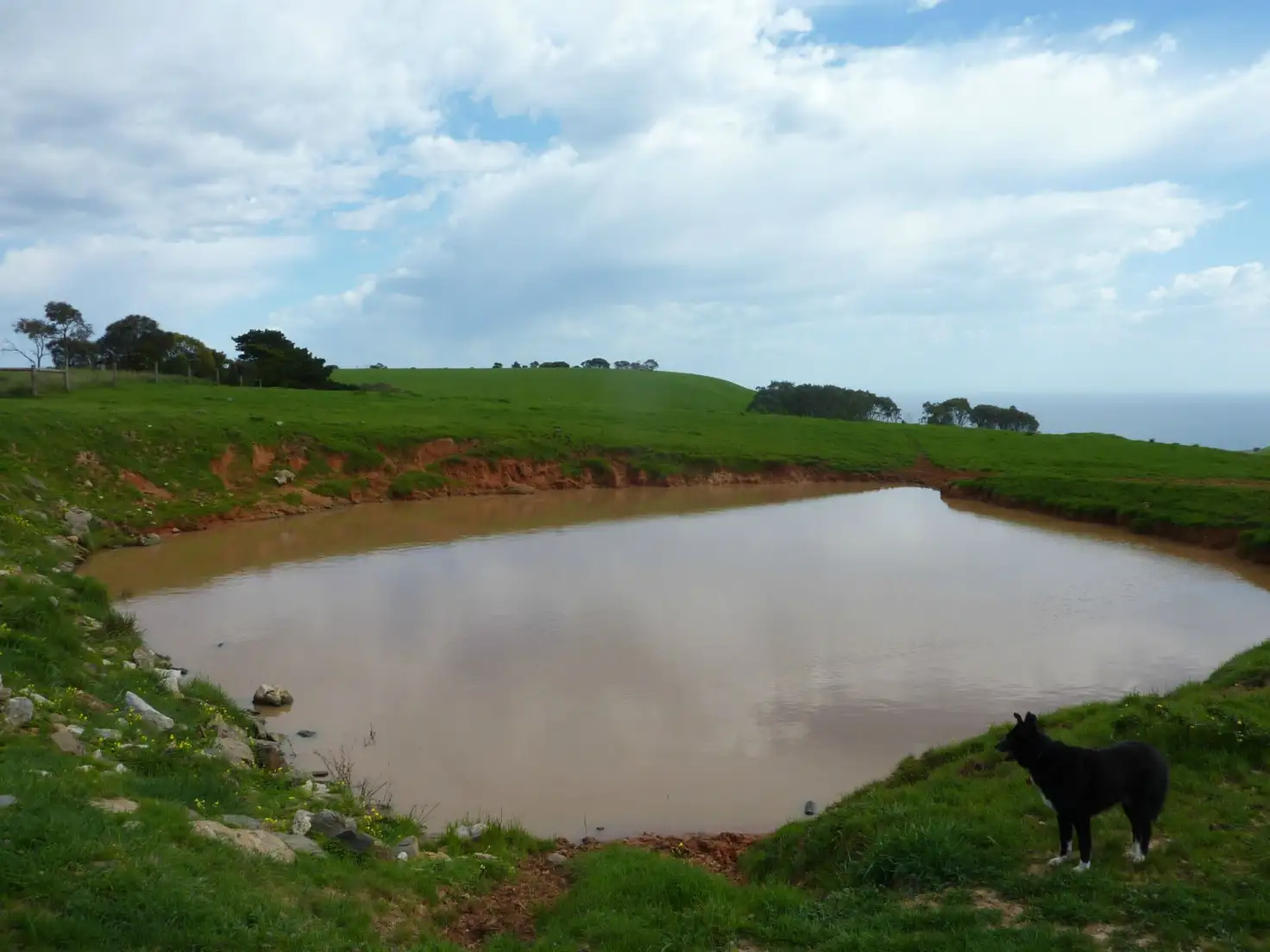 Main view of Homely rural property listing, Lot 50 Forktree Road, Carrickalinga SA 5204