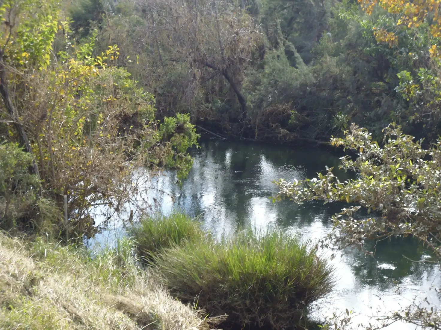 Main view of Homely rural property listing, Address available on request