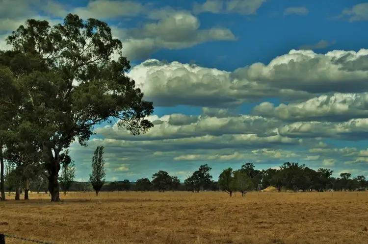 Seventh view of Homely rural property listing, 2037 Chiltern Valley Road, Rutherglen VIC 3685