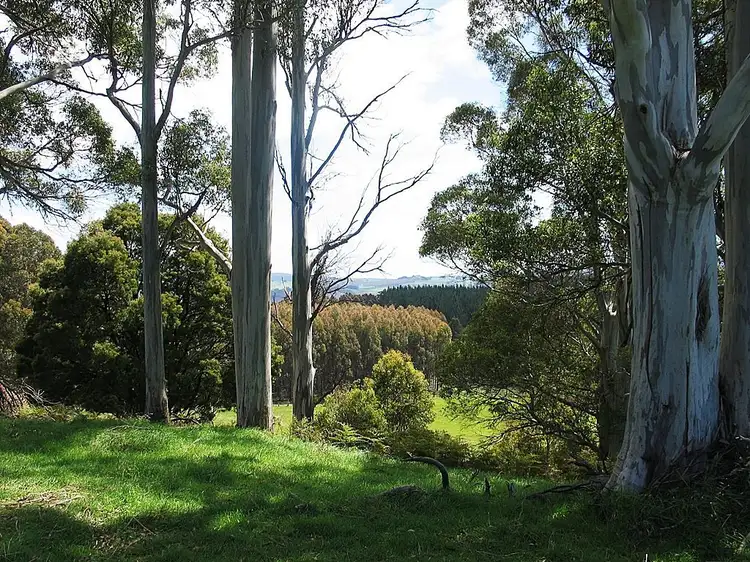 Fifth view of Homely rural property listing, Address available on request