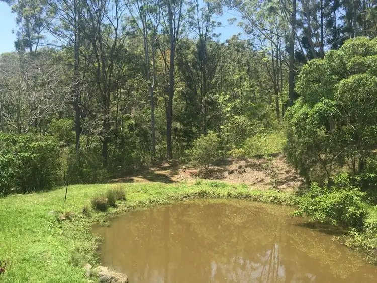 Seventh view of Homely rural property listing, 159 Ratcliffe Road, Diamond Valley QLD 4553