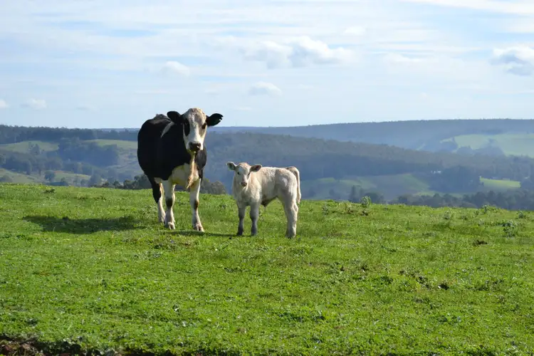 Third view of Homely rural property listing, Lot 483 Hawterville Road, Mullalyup WA 6252