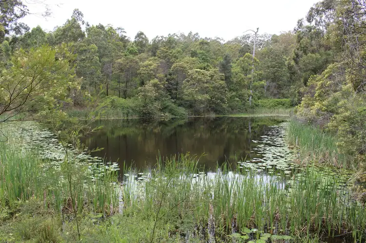 112 Kundle Creek Lane, Gloucester NSW 2422