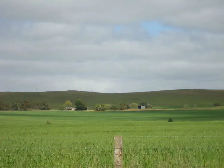 Second view of Homely rural property listing, 531, 533, 532 Watts Range Road, Gulnare SA 5471