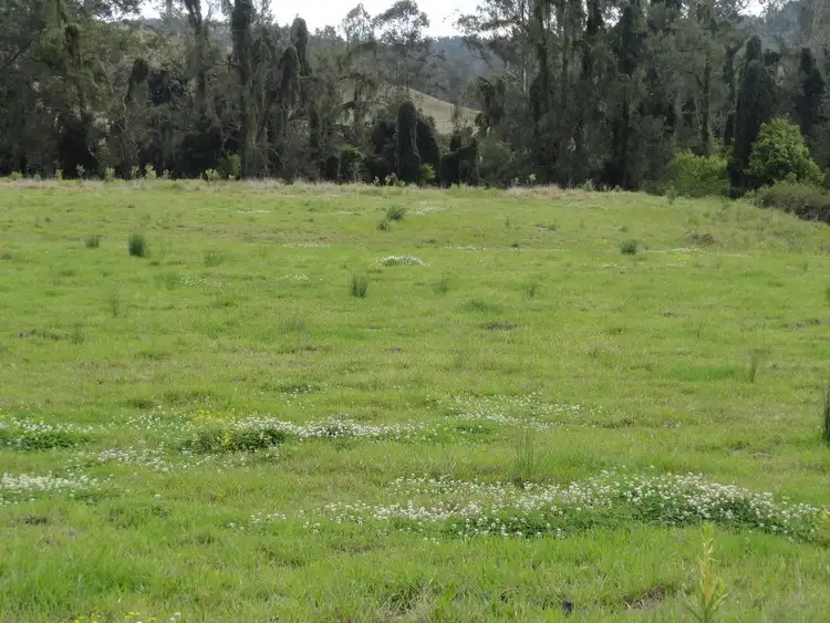 123 Iron Pot Creek Road, Kyogle NSW 2474
