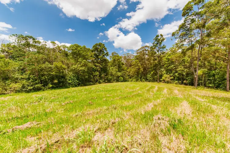 Sixth view of Homely rural property listing, 20 Gerrard Road, Eudlo QLD 4554