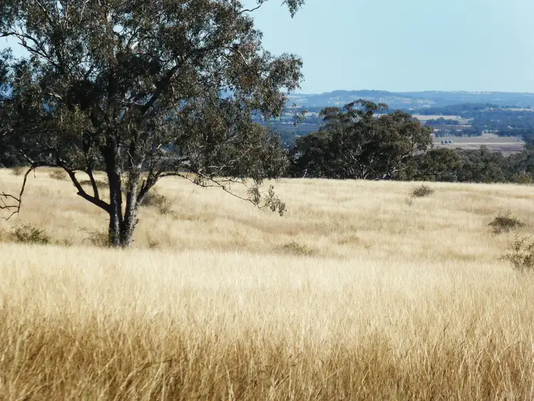 Second view of Homely rural property listing, Address available on request