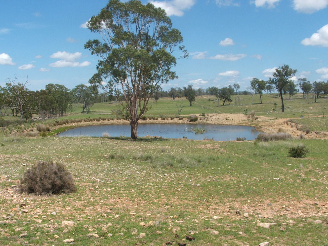 Fifth view of Homely rural property listing, 20726 Cunningham Highway, Gore QLD 4352