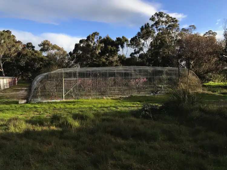 Fifth view of Homely rural property listing, 59 Mundalena Rd, Lucindale SA 5272