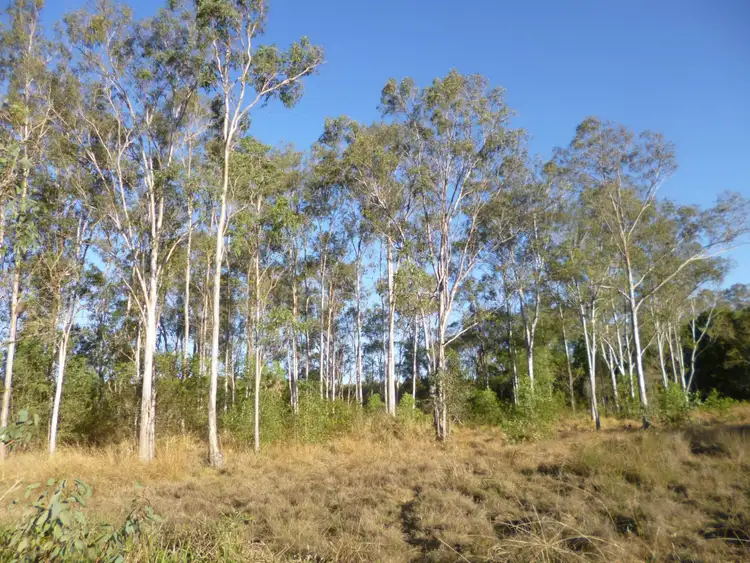 Third view of Homely land listing, 214 North Isis Road, North Isis QLD 4660
